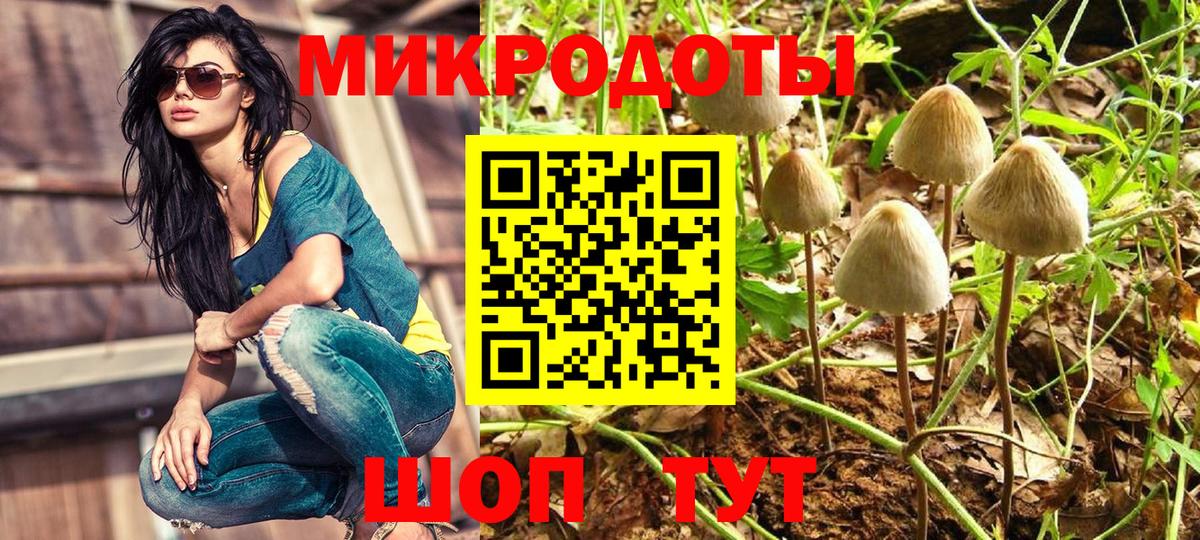 Невинномысск  Псилоцибиновые грибы прущие грибы  Вход с VPN 